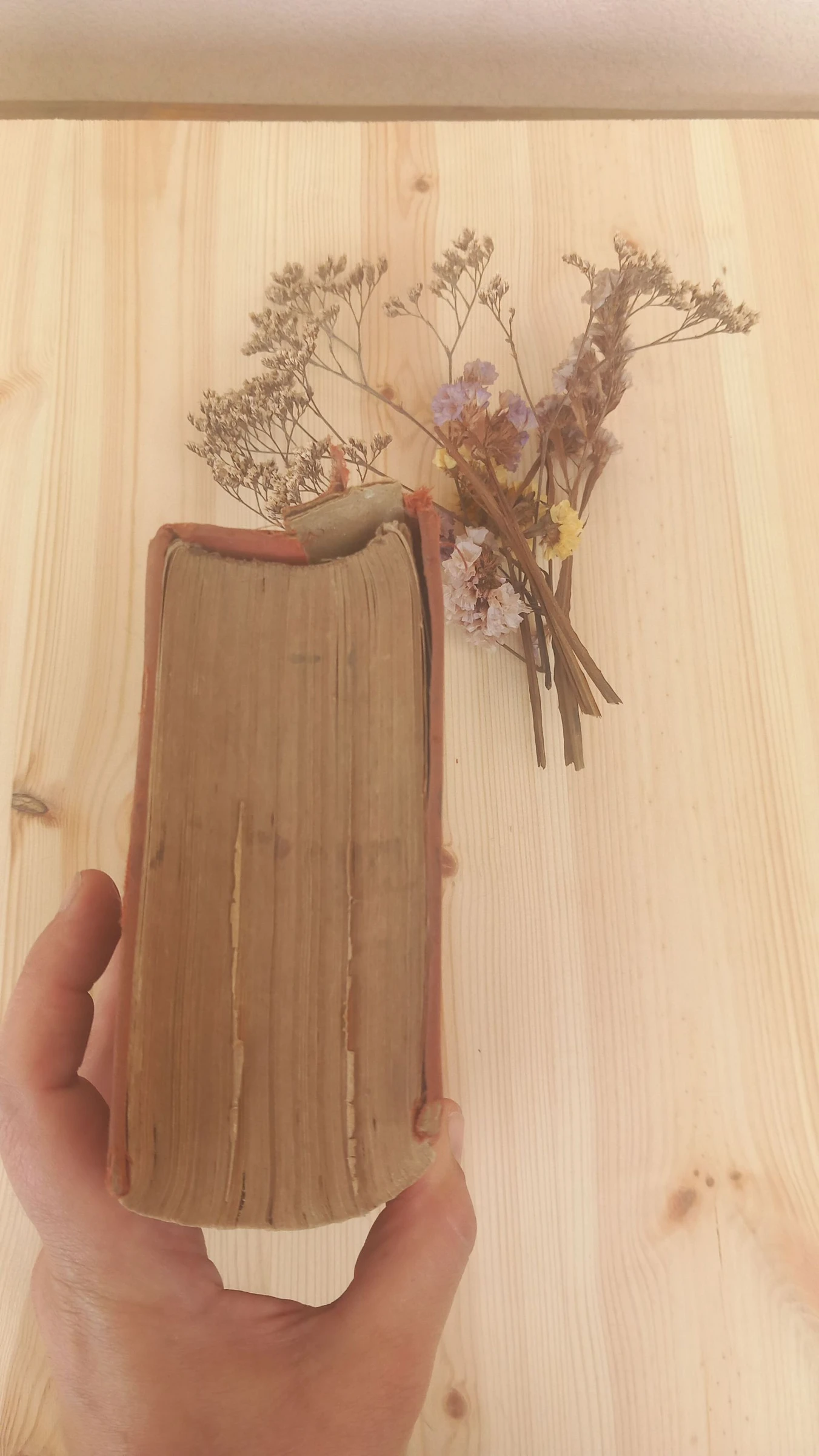 Larousse Élémentaire | Éditions Larousse – photo 6